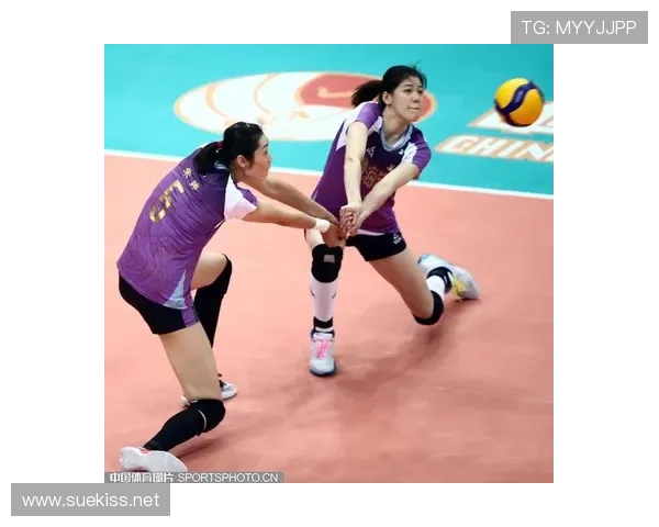 女排超级联赛章鱼体育（女排球超级联赛）sports